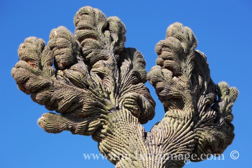 Granite Mountain Park, Scottsdale, AZ.